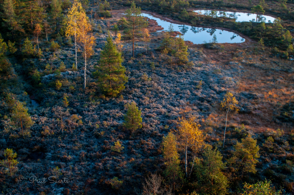 Mukri raba vaatetorn